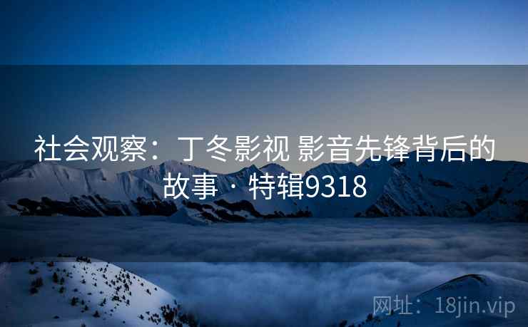 社会观察：丁冬影视 影音先锋背后的故事 · 特辑9318
